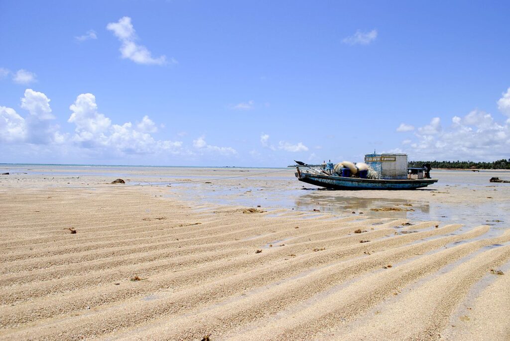 Praia_do_Patacho_-_Alagoas_11742118624-1024x686